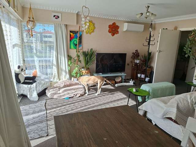 51A Golf Road Mount Maunganui_3
