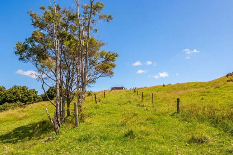 47 Witheford Road Wellsford_20