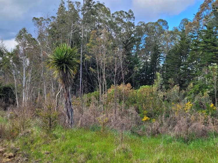 200 Nightcaps Ohai Highway Ohai_7