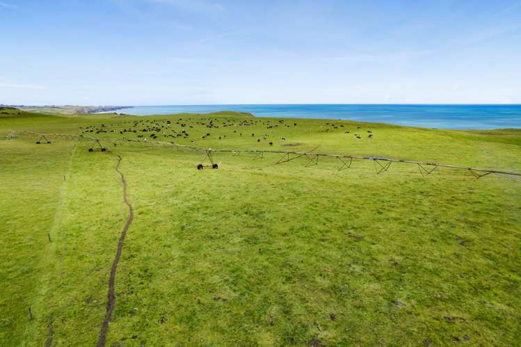 698 Manawapou Road Hawera_4