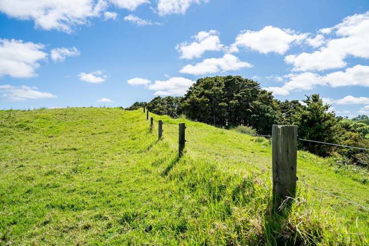 278 Griffin Road Maungaturoto_11