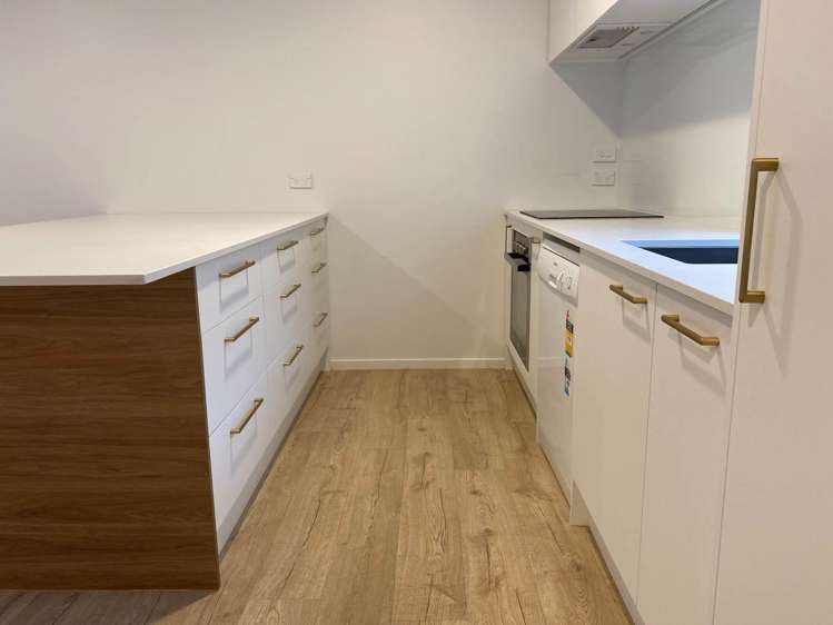 16/42 Saint Benedicts Street Eden Terrace_2