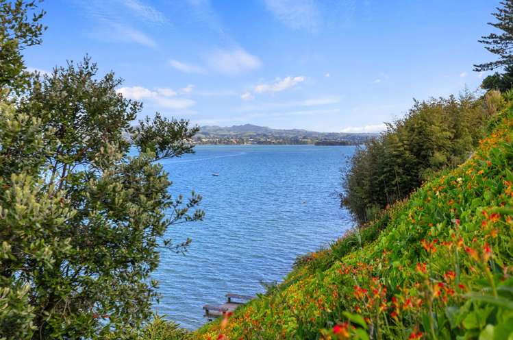 3/14 First Avenue Tauranga Central_22