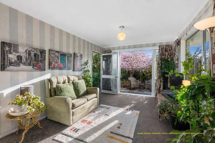 2/5A Purakanui Place_3