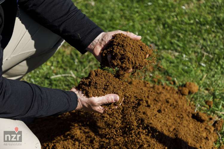 482 Table Flat Road Apiti_6