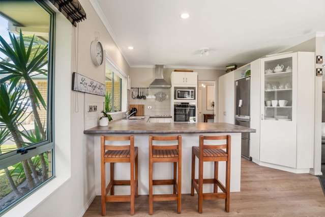 20 Francevic Avenue Mount Maunganui_4