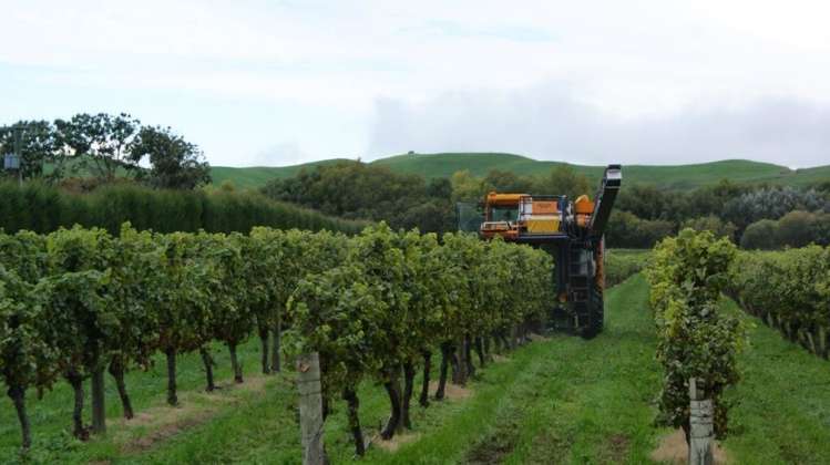 483 Dartmoor Road Puketapu_13