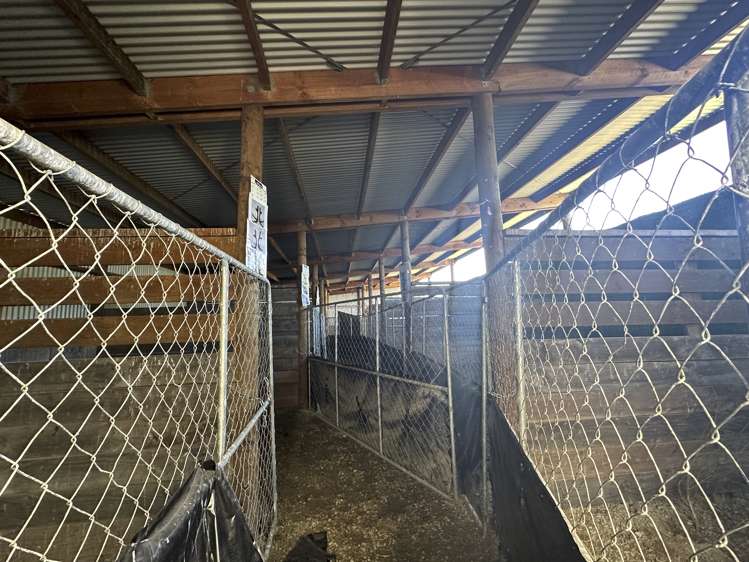 561 Te Anau Mossburn Highway Te Anau_5