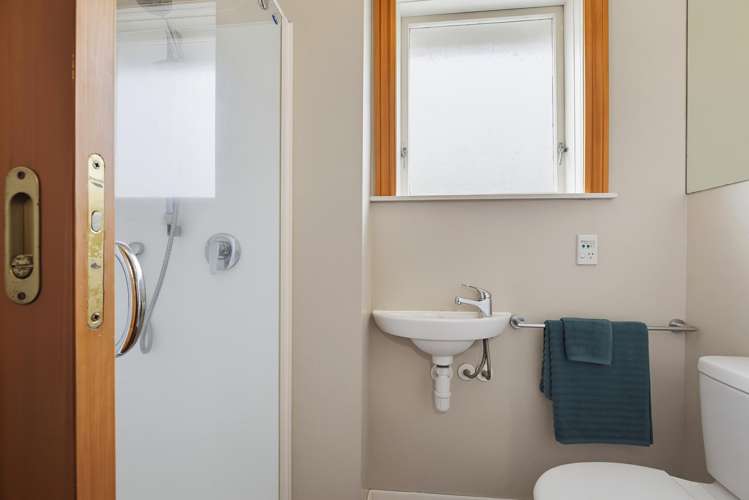 31 Palmer Street Aro Valley_14
