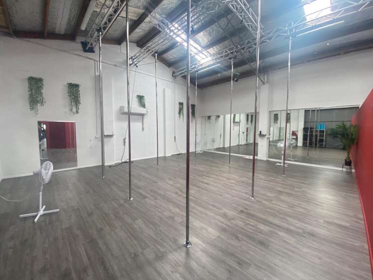 25 Carlyle Street Napier South_4