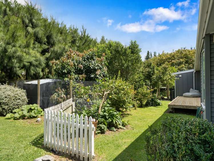 261 Wainui South Road Whakamarama_25