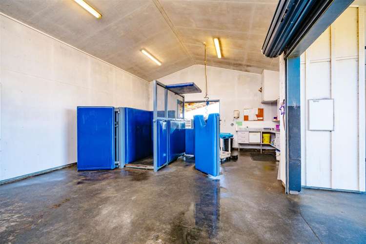 122 Rotoorangi Road Cambridge_31