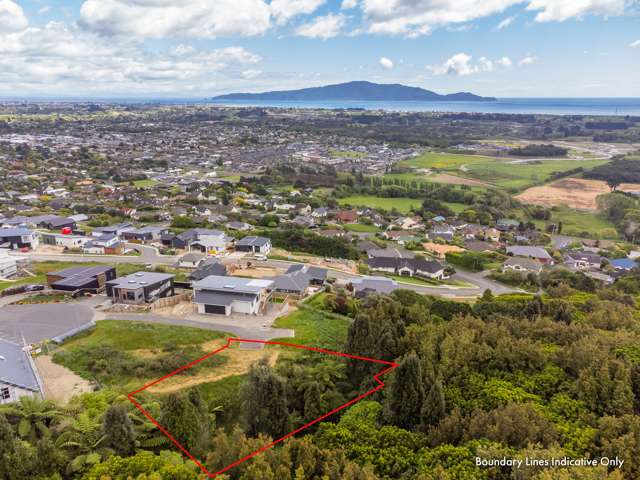 The sea views - native bush backdrop