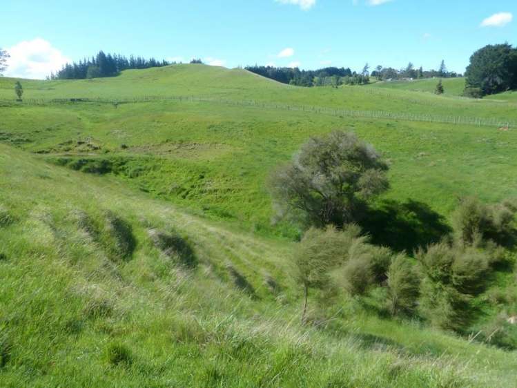 29 Flag Range Road Sherenden_2