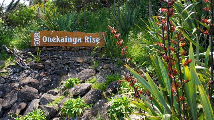 Onekainga Rise_0
