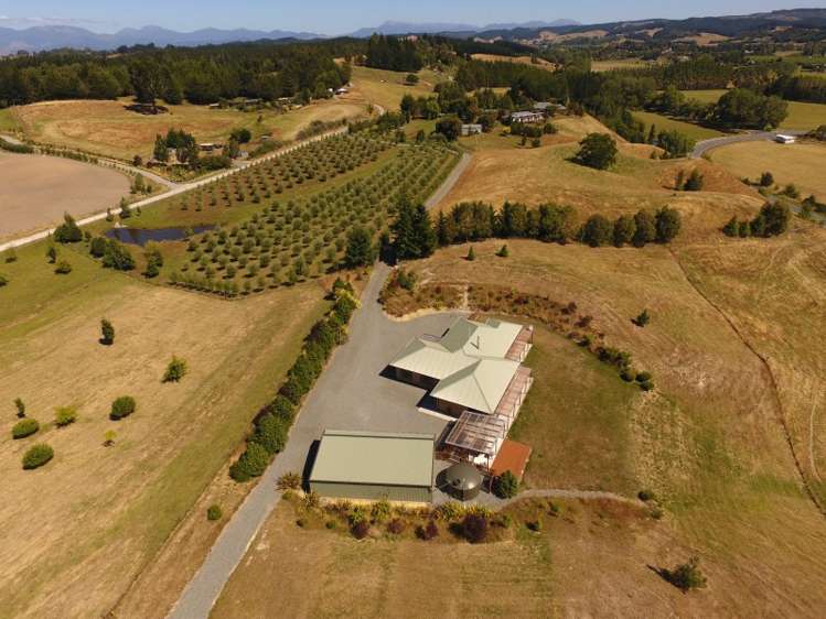 63 George Harvey Road Upper Moutere_2