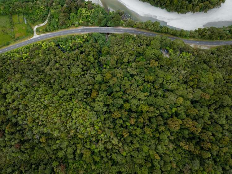 Arawata, Jackson Bay Haast_14