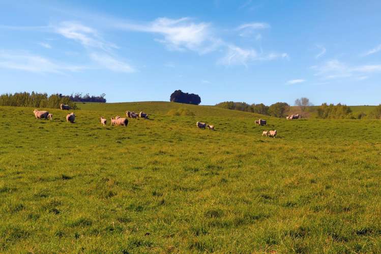 Lot 1 Maheno-Herbert Road_1