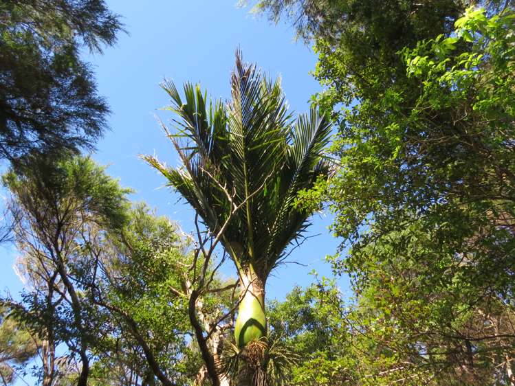 537d Tuateawa Road Tuateawa_8