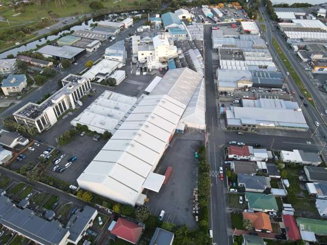 476 Jackson Street Petone_4