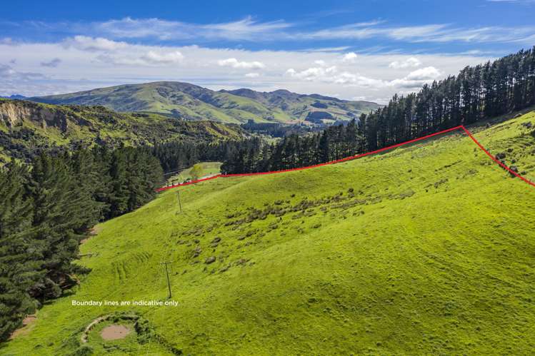 1228 Greta Road Greta Valley_14