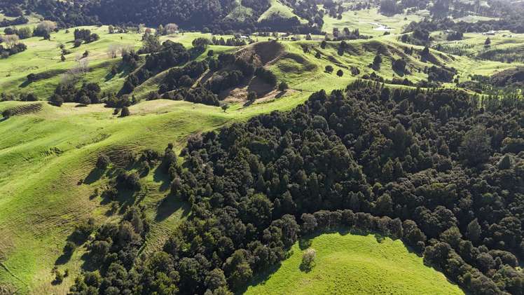 30C Te Ranga Road Kaeo_37
