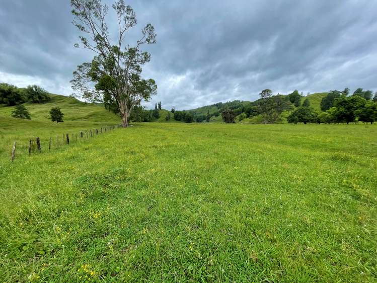 174 Clydebank Road Wairoa_5