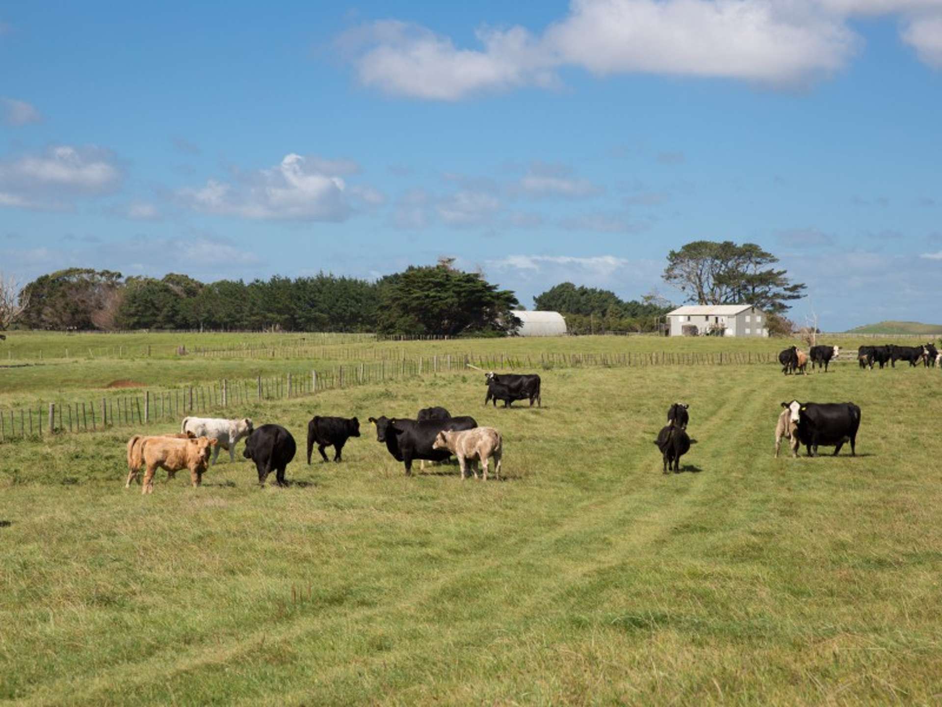 1033 Mangiti Road Te Akau_0