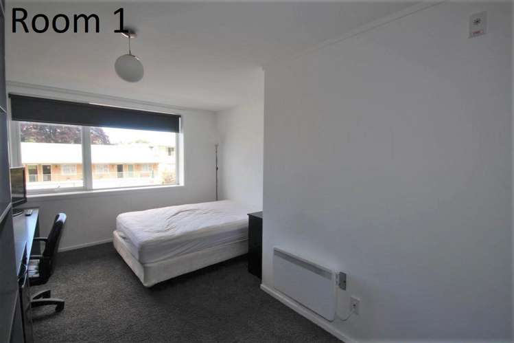 C/487 George Street North Dunedin_4