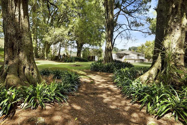 359a Tukapa Street Hurdon_27