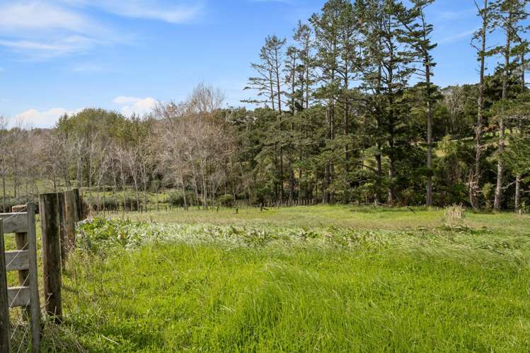 730 Horseshoe Bush Road Waitoki_6