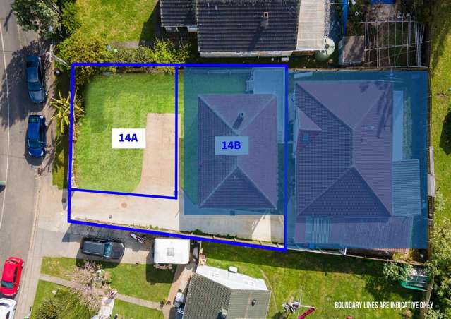 Mt Roskill Primary Zone - Fully Serviced section