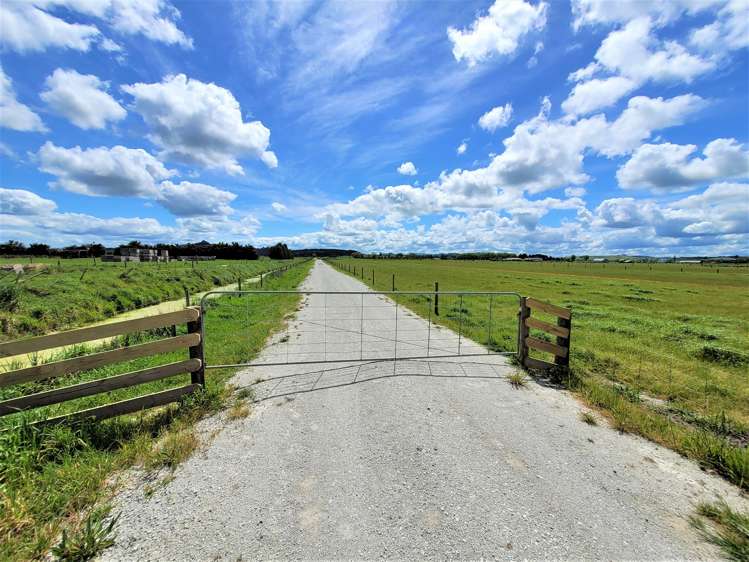 Tramline Road Ruawai_12