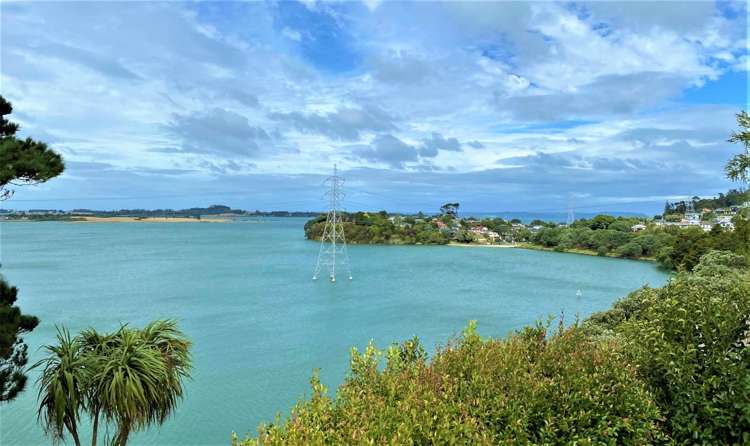 89 Frederick Street Hillsborough_16