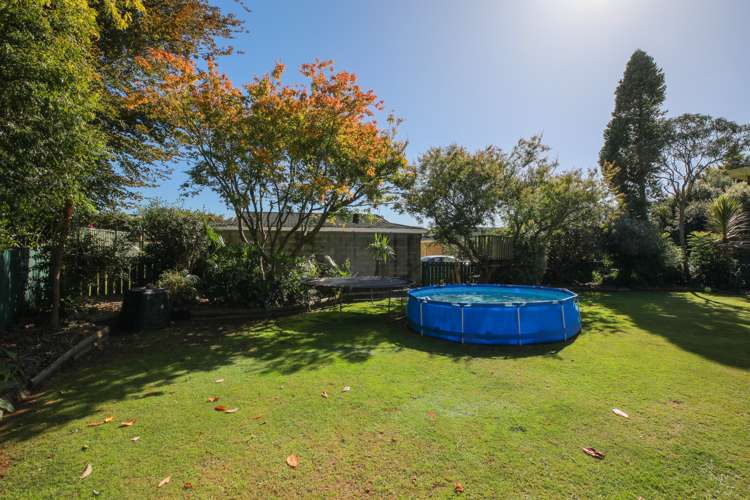 360 Young Street Te Awamutu_23