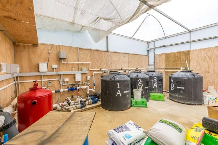 379 Razorback Road Pokeno_6