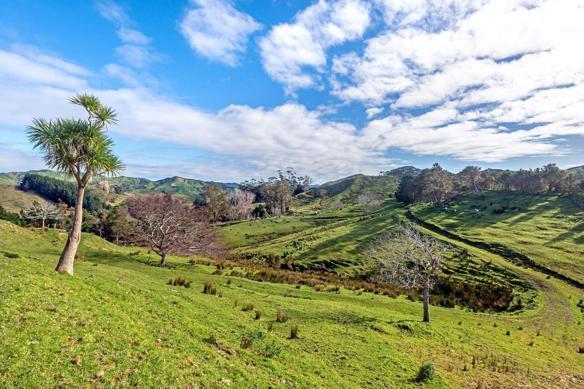 758 Glenroy Road Whangara_0