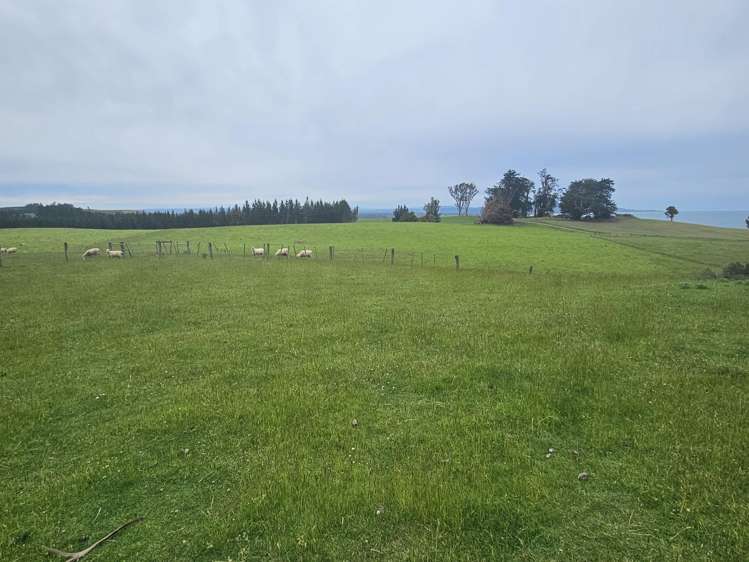 61 Tinico Road Kaka Point_21