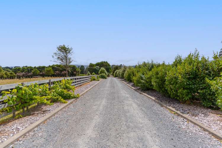 58 Colletts Road Mangaroa_49