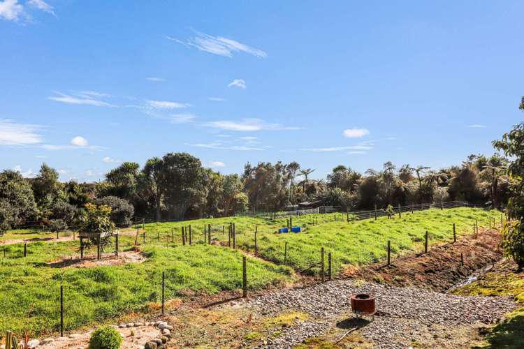 236 Alma Road Westport_19