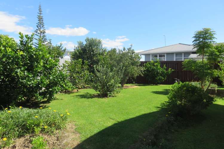 405 Ensor Street Thames_23