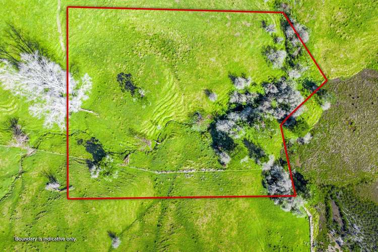 Port Albert Wellsford_4