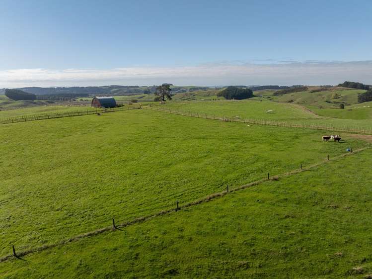 485 Chapman Road Pukekawa_25