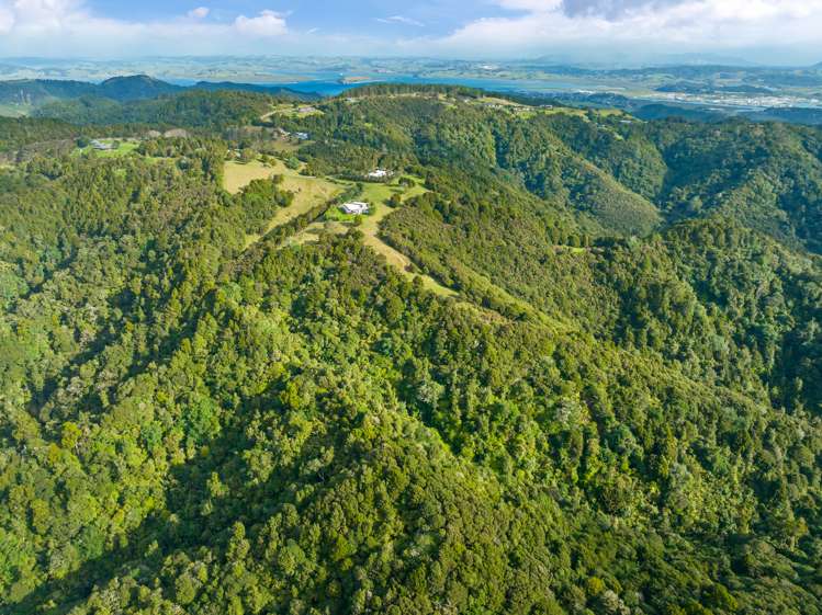 559 Mount Tiger Road Whareora_40