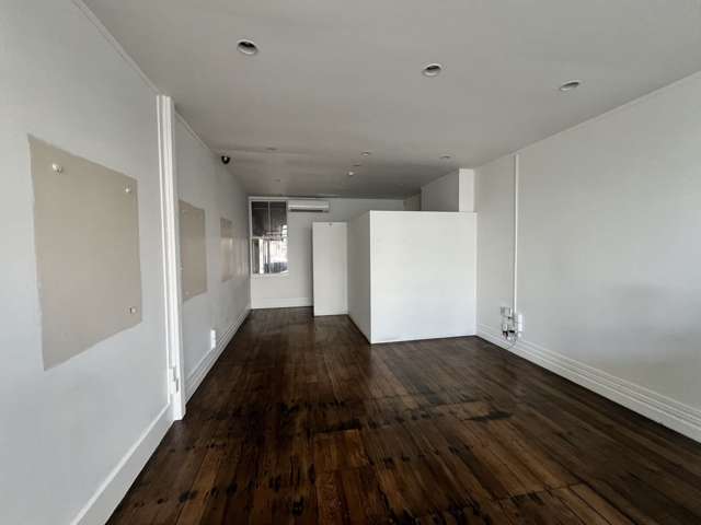 Retail 3/219 Dominion Road Mount Eden_2