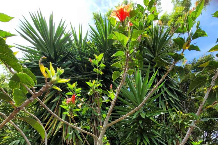 31 Driver Road Mangere East_23