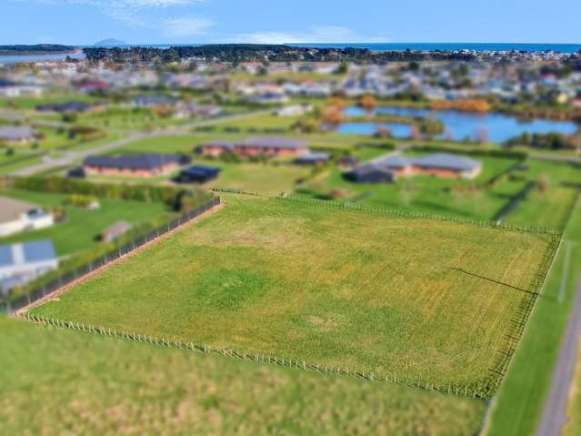3 Carex Grove Foxton Beach_3