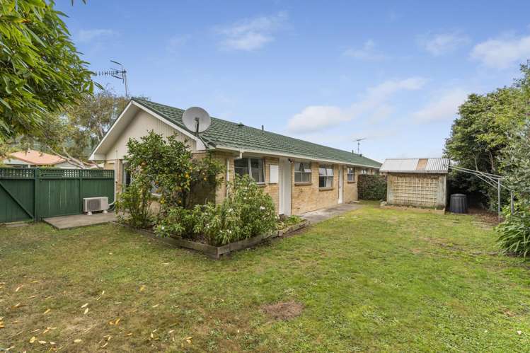 2b David Street Waikanae_11