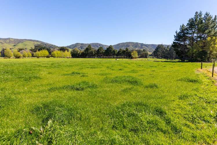 100 Inglis Road Pahiatua_35