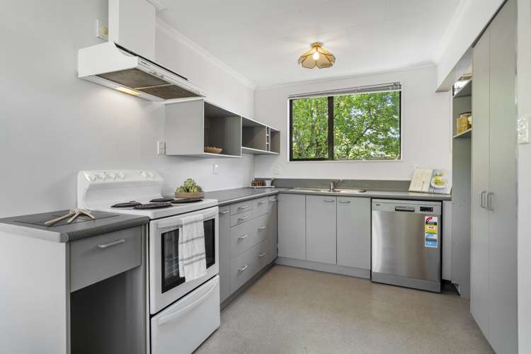 68 Barry Avenue Cromwell_5